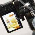 Fotoshooting Gut Aich