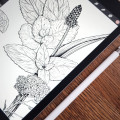 Illustration iPad