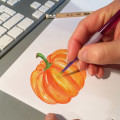 Illustration Inzersdorfer Kürbis