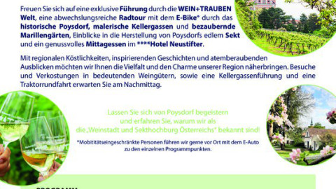 Jahreskampagne - Vino Versum Poysdorf