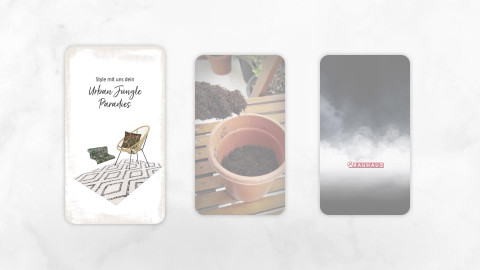 Videos/Reels/Stories