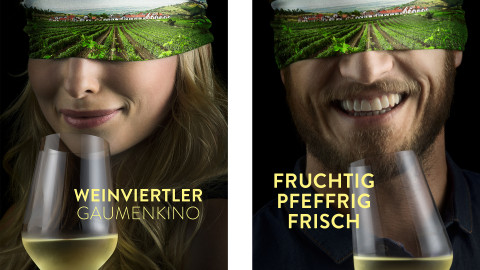 Regionales Weinkomitee. Kampagne Weinviertel DAC.