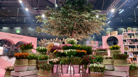 Love Beauty & Planet 