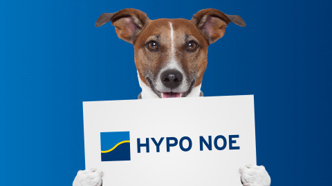 HYPO NOE – der richtige Riecher für die passende Finanzierung 