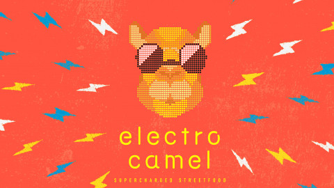 Electro Camel | Branding Kampagne