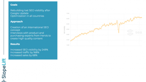 International SEO Strategy for Hervis