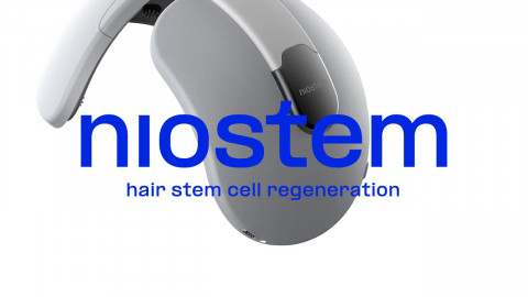 hair stem cell hair stem cell regeneration.
