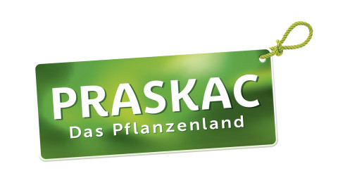 Praskac – Gesamtkommunikation