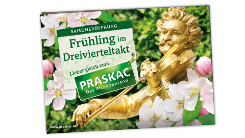Strauss Prospekt
