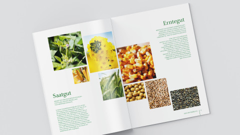 Broschüre Innenseiten