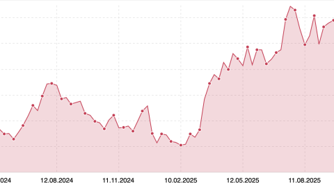 Time Travel | SEO laufend 