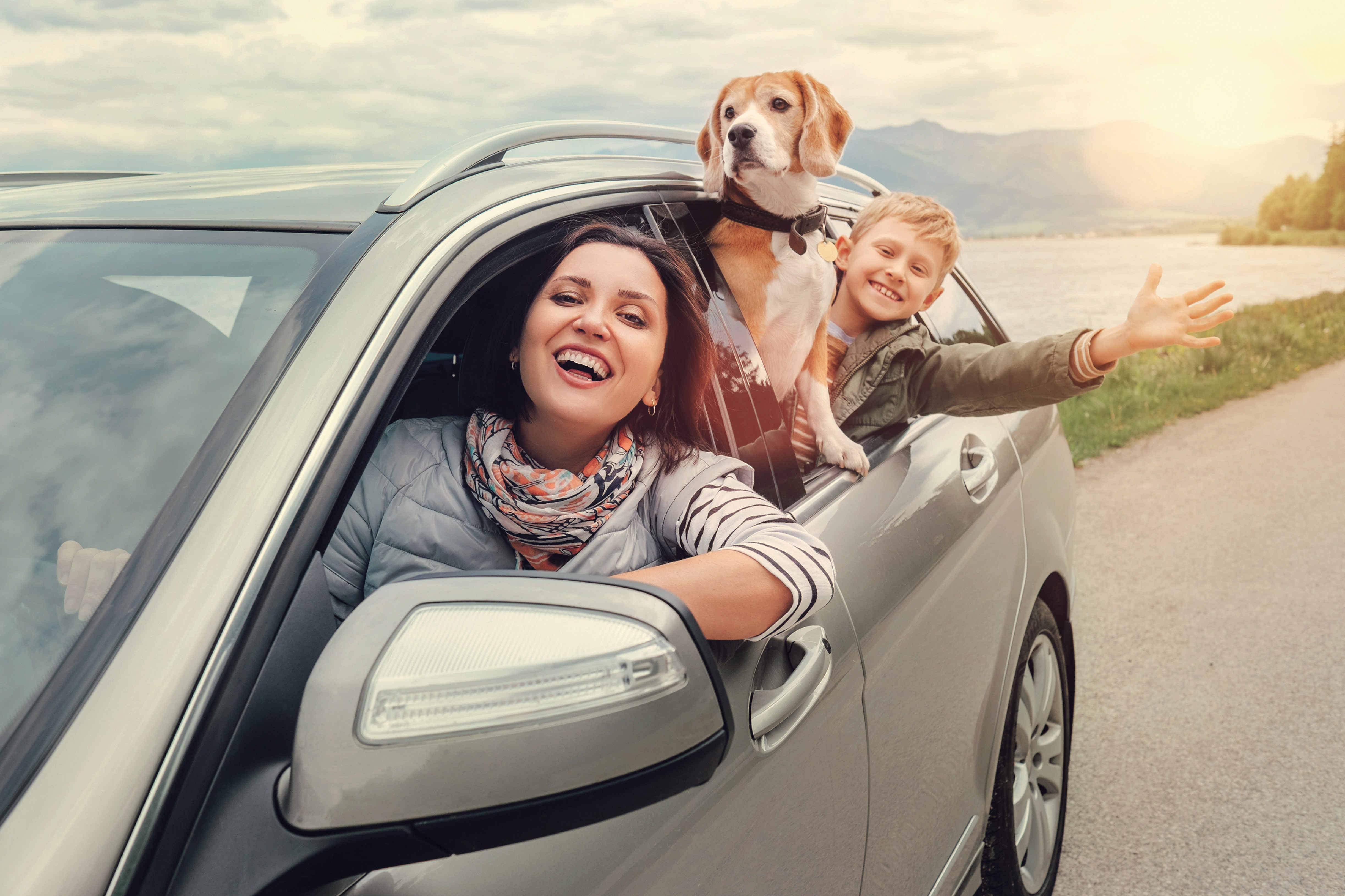Собаки и люди на дороге. Путешествие на автомобиле. Семья в машине. Машина для путешествий семьей. Счастливая семья на автомобиле.