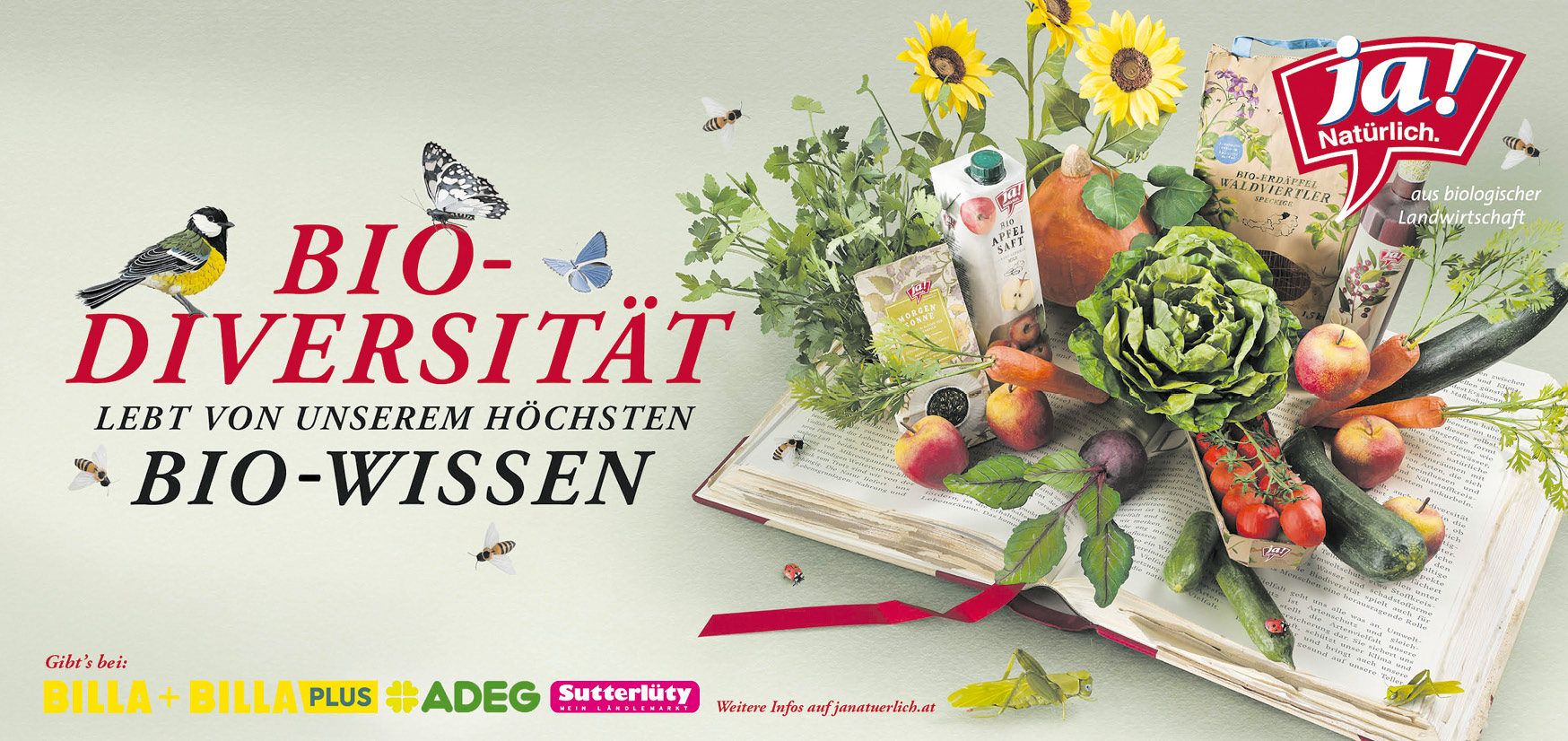 Lerneffekt inklusive – mnews – medianet.at