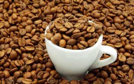 Kaffeekonsum in Österreich weiterhin überdurchschnittlich hoch