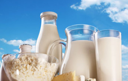 Deutsche Milchbauern fordern staatliche Eingriffe