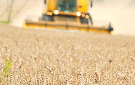 Ukraine bleibt stark im Getreideexport