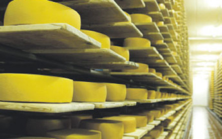 Käse, ein Exportkaiser