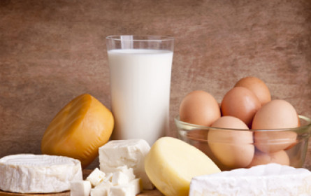 Milch-Außenhandel: fallende Preise und höhere Mengen