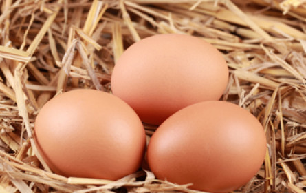 Beim Eierkauf zählt die Herkunft  