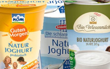 Gutes Naturjoghurt