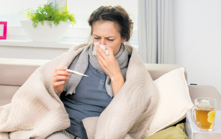 Grippe wird teuer