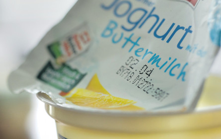 Joghurt-Rettung 