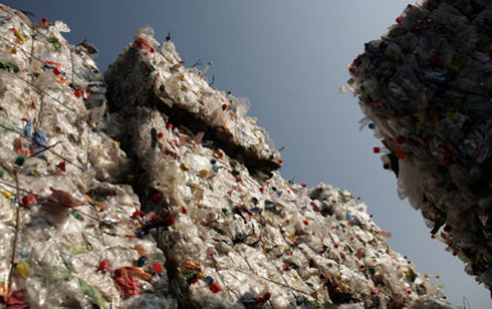 PET to PET im Burgenland recycelte im Vorjahr über 930 Mio. Flaschen