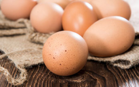 Ein Jahr nach dem Fipronil-Skandal schon wieder Insektengift in Eiern