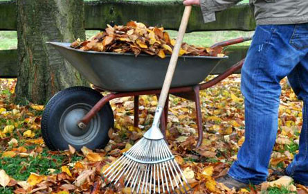 Den Garten fit für den Winter machen