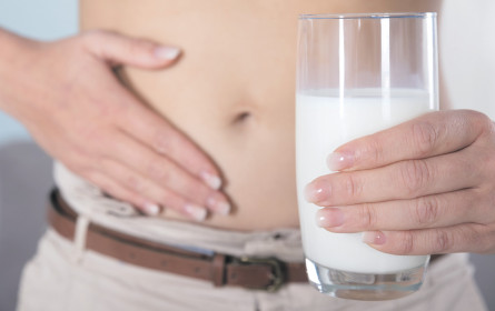 Renaissance der klassischen Milch