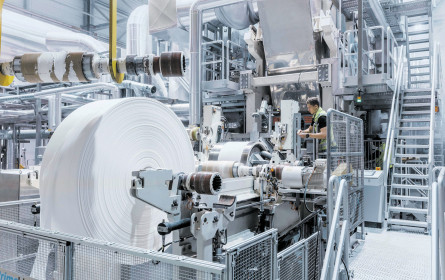 Papierindustrie an der Spitze der Bioökonomie