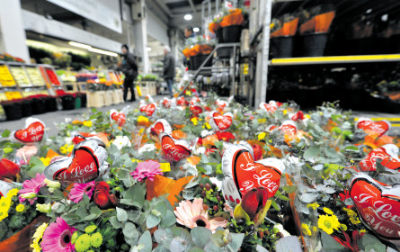 Valentinstag 2019: Österreicher geben im Schnitt 58 Euro aus