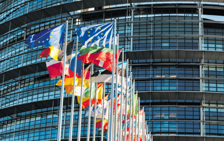 EU-Abgeordnete: Defizite in Rechtsstaatlichkeit in Malta und Slowakei