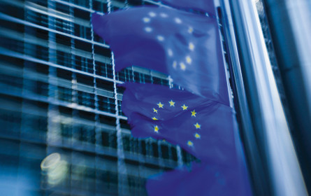 Neues EU-Urheberrecht endgültig beschlossen - Österreich stimmte zu 