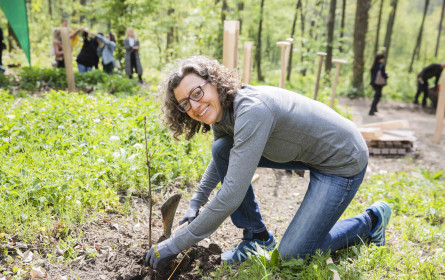 Waldquelle setzt mit Lebens(t)raum Baum nachhaltiges Zeichen