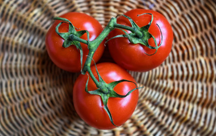 Selbstversorgungsgrad mit Tomaten in Österreich gering