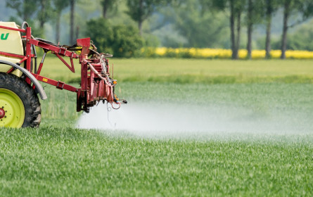 Pestizid-Rückstände in Lebensmittel haben laut Ages stark abgenommen