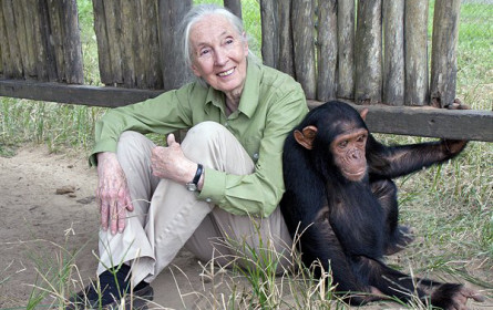 Präsentation des „Roots and Shoots“-Projekts mit Jane Goodall