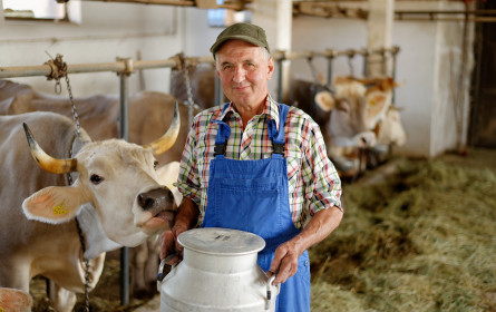 Ennstal Milch zu IG Milch-Kritik: Regeln notwendig
