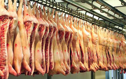 Betrugsverdacht um ungenießbares Fleisch in steirischem Schlachthof