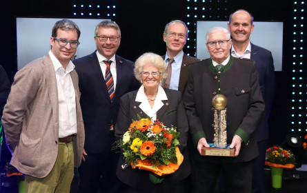 Tips: „INN-Awards“ für Johann Scheuringer, Lukas Weißhaidinger und Wolfgang Freilinger 
