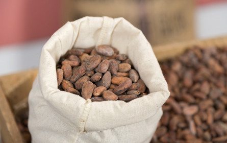 Zehn Prozent zertifiziert nachhaltiger Kakao bei Manner