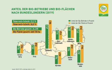 Bio Austria mit zusätzlicher Bio-Fläche in Österreich pro Tag – im Umfang von 115 Fußballfeldern