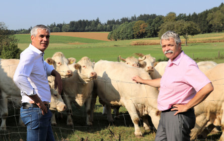 Spar sichert faire Rindfleisch-Preise