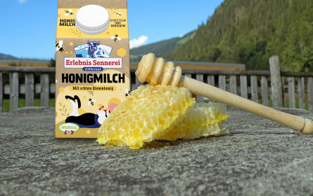 Honigmilch - Ein Allrounder für alle Fälle