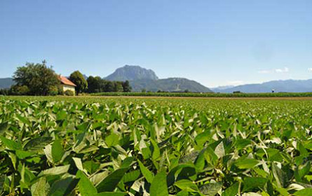 Österreichische Sojaprodukte als Chance für die heimische Gastronomie