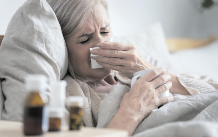 Grippewelle könnte heuer ausbleiben