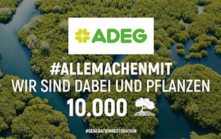 10.000 Bäume für den Klimaschutz