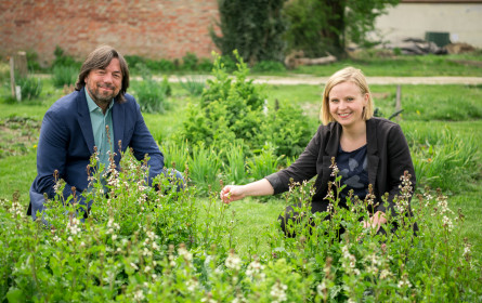 bellaflora und Global 2000 verlängern Kooperation für pestizidfreies Gärtnern