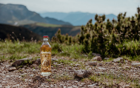 Mit Almdudler den Sommer und die Bergwelt genießen